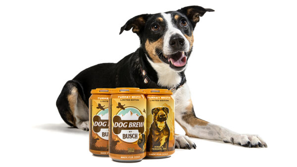 dog beer