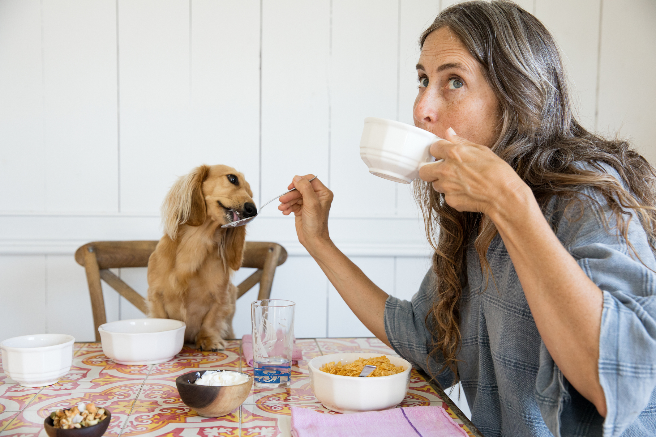 Woman feeding her dog breakfast from the table like a baby