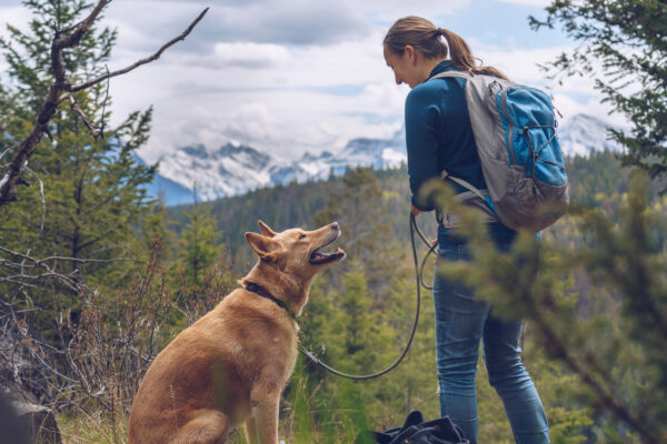 hiker with dog at the top of mountain on dog friendly hike