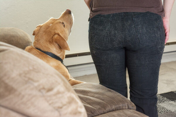 Woman's back side covered in pet hair