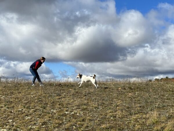 dog training hand signal for come