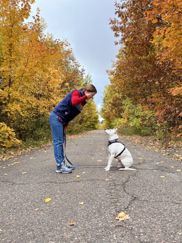 dog training hand signal for look