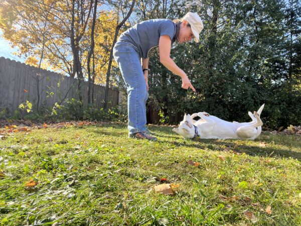 dog training hand signal for rollover