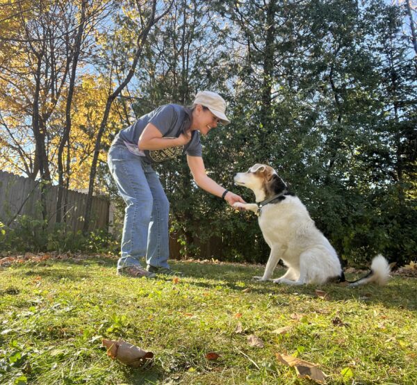 dog training hand signal for shake paw