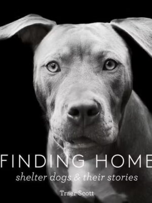 Finding Home Shelter Dogs and Their Story Book