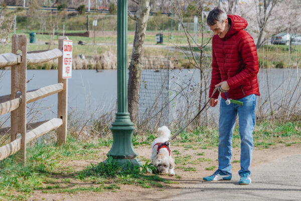 Man Takes His Dog for a Walk in the Park