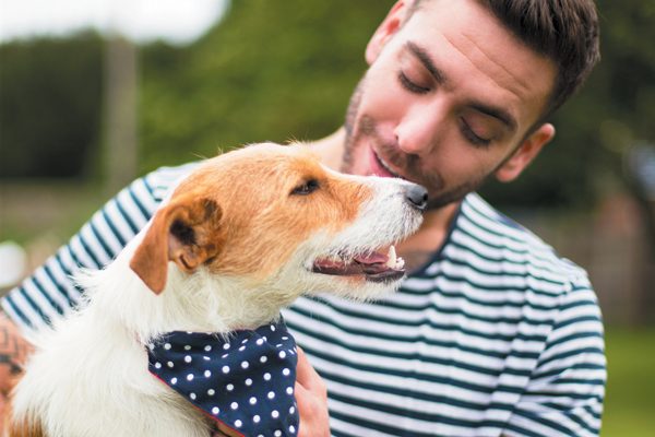 Old dogs can be a great addition to your family. Photography ©SolStock | Getty Images.