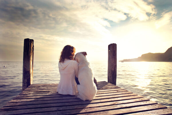 dog rests gently on his master's shoulder while looking view