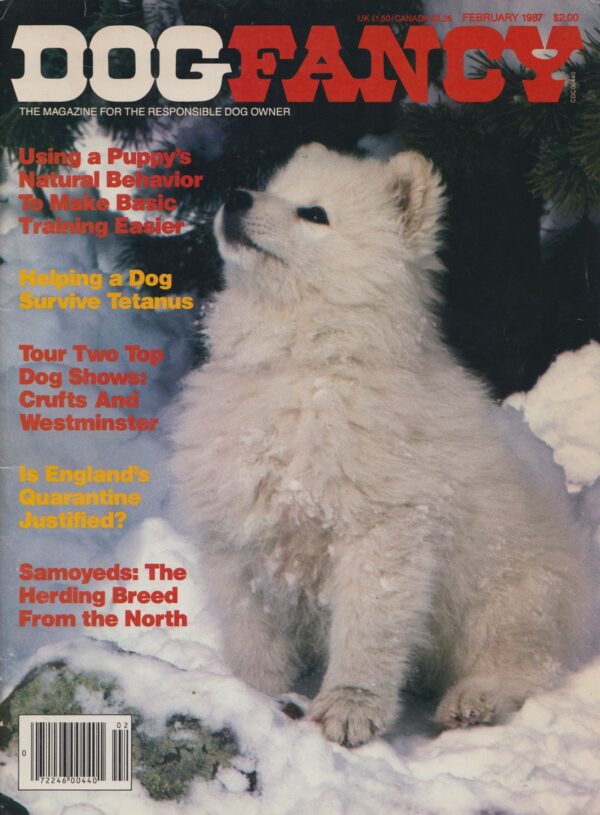 Picture of a Dog Fancy print magazine