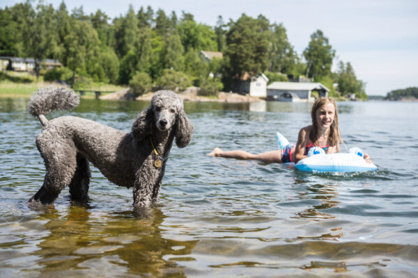 Smiling girl in lake with dog