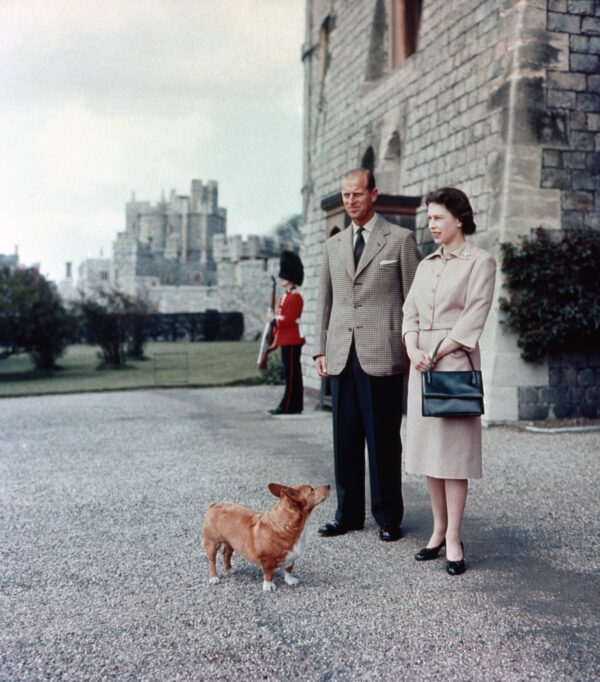 queen elizabeth with corgis