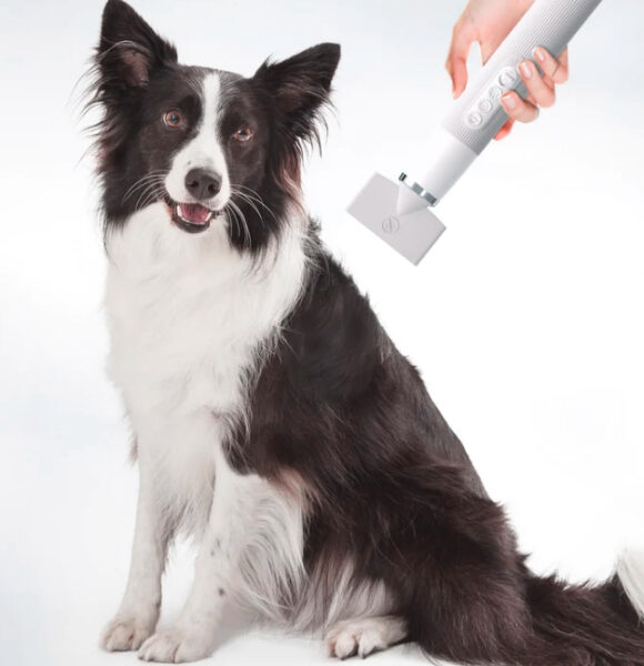 UAHpetFluffyDogHairDryer